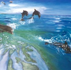 The Dolphins 20 Limited Edition Lithographs
